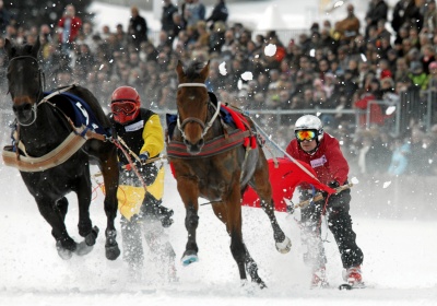 Skijoring: екстремeн зимeн спорт с коне